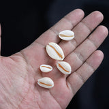20mm Cowry Cowrie Shell Conch Beads for Jewelry Making