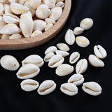 20mm Cowry Cowrie Shell Conch Beads for Jewelry Making