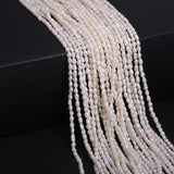 Freshwater Pearl Beads Rice Shape 13'' Strand