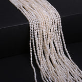 Freshwater Pearl Beads Rice Shape 13'' Strand