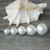 Sea Shell Beads Round Half-Drilled Loose Bead for Jewelry Diy Making