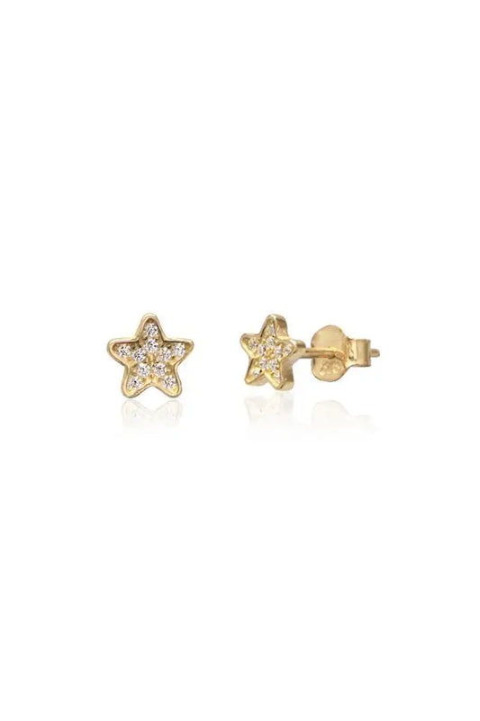 Zircon CZ Star Cartilage Earrings