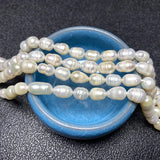 Freshwater Pearl A and AA Rice Shape Beads 4 6 8mm