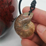 Natural Conch Pendant Snail Leaf Ammonite Hanging Piece Lucky Crystal Stone