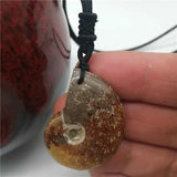 Natural Conch Pendant Snail Leaf Ammonite Hanging Piece Lucky Crystal Stone