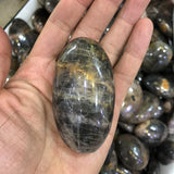 Gray Moonstone Palm Large 50mm Natural Gem Sun Stone Crystal Healing Chakra