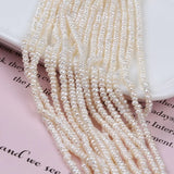 2.5-3mm Freshwater Flat Pearls Bead String Strand for Jewelry Making
