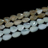 Trochus Top Shell Stone Beads for Jewelry Making DIY Bracelet Necklace