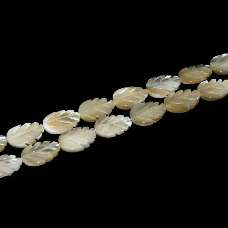 Trochus Top Shell Stone Beads for Jewelry Making DIY Bracelet Necklace