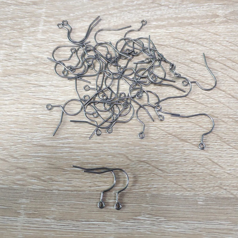 20pcs Titanium Earrings Findings DIY Earrings Clasps Hooks