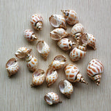 20pcs Shell Conch Charms Pendants for DIY Necklace Bracelet Making