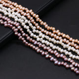 2PCS Natural Freshwater Pearl Notoginseng Hole Beads 4-5MM