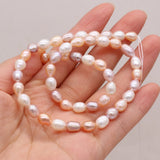 3PCS Freshwater Pearl Rice Beads 6-7MM Jewelry Making DIY Necklace