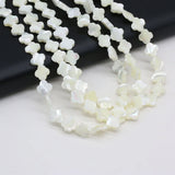 3PCS Freshwater Shell Plum Blossom Bead DIY Necklace Bracelet Jewelry