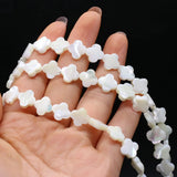 3PCS Freshwater Shell Plum Blossom Bead DIY Necklace Bracelet Jewelry