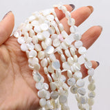 3PCS Natural Freshwater Shells Round Bead DIY Necklace Bracelet Charms
