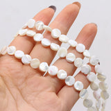 3PCS Natural Freshwater Shells Round Bead DIY Necklace Bracelet Charms