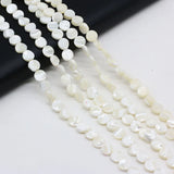 3PCS Natural Freshwater Shells Round Bead DIY Necklace Bracelet Charms