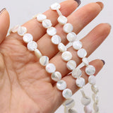 3PCS Natural Freshwater Shells Round Bead DIY Necklace Bracelet Charms