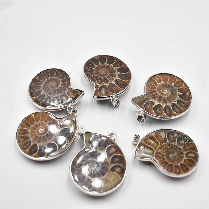 4pcs Natural Stone Ammonite Snail shell Conch Pendants for Jewelry Making