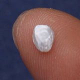 50pcs Natural Freshwater Petal Pearl Beads 6-7mm