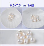 6.5x7.5mm Freshwater Pearl Oval Beads Jewelry