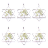 6Pcs Tree of Life Pendants Natural Gem Chips Olivine Chakra Reiki Star Merkaba
