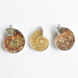 6pcs Natural Stone Ammonite Snail Shell Conch Pendants for Jewelry Making