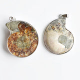 6pcs Natural Stone Ammonite Snail Shell Conch Pendants for Jewelry Making
