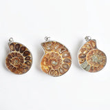 6pcs Natural Stone Ammonite Snail Shell Conch Pendants for Jewelry Making