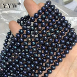 6mm Freshwater Pearl Beads for Jewelry Making DIY