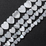 Multicolor Heart Shell Bead 6-12mm Natural Freshwater Shells for Jewelry