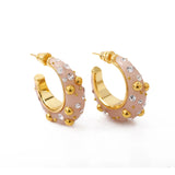Zircon Hook Earrings Women Jewelry