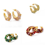 Zircon Hook Earrings Women Jewelry