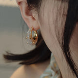Zircon Hook Earrings Women Jewelry