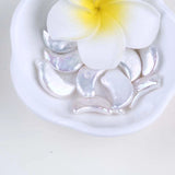 Irregular Moon Shape Freshwater Pearl Beads