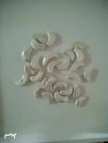 Irregular Moon Shape Freshwater Pearl Beads