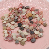 Natural Spiral Shells Beads Crafts Fish Tank Decor DIY Jewelry 100g