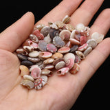 Natural Spiral Shells Beads Crafts Fish Tank Decor DIY Jewelry 100g