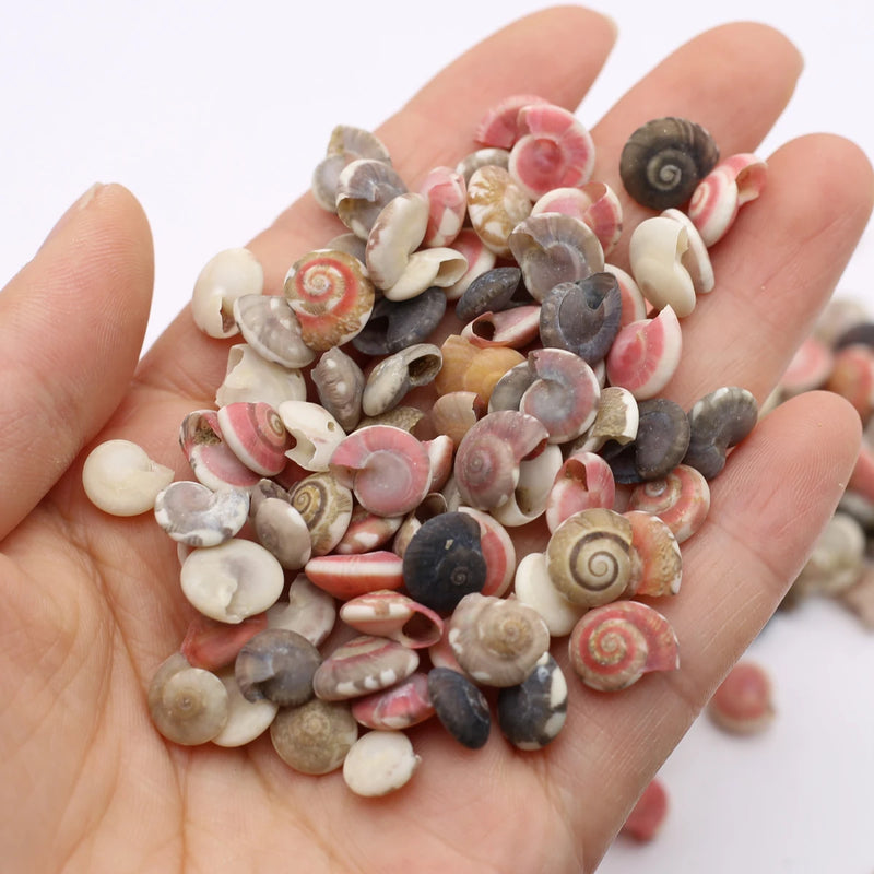 Natural Spiral Shells Beads Crafts Fish Tank Decor DIY Jewelry 100g