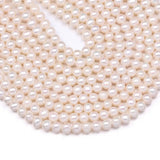 Freshwater Pearl Beading Round Loose Spacer Beads for Jewelry Making