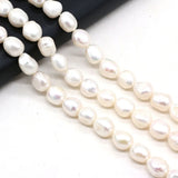 Freshwater Pearl Beads  for DIY Jewelry Making