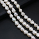 Freshwater Pearl Beads  for DIY Jewelry Making