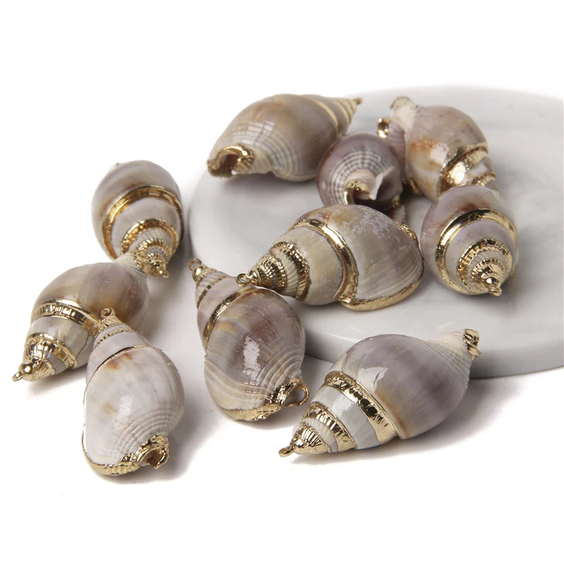 Irregular Conch Plated Cowries Charm Earrings - DIY Jewelry Accessory
