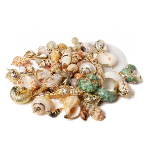 Irregular Conch Plated Cowries Charm Earrings - DIY Jewelry Accessory