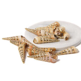 Irregular Conch Plated Cowries Charm Earrings - DIY Jewelry Accessory