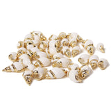 Irregular Conch Plated Cowries Charm Earrings - DIY Jewelry Accessory
