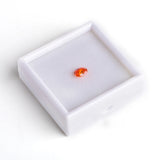 Glass Diamond & Gemstone Display Case Opal Gem Stones Coin Beads Pendant