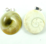 Natural Shell Snails Pendants Charms Animal Pendants Jewelry Accessories
