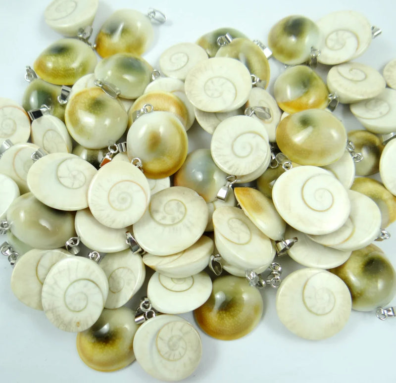 Natural Shell Snails Pendants Charms Animal Pendants Jewelry Accessories